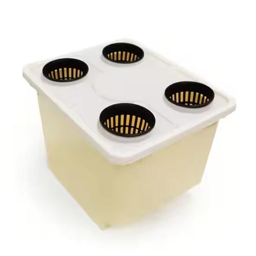 Dutch bucket