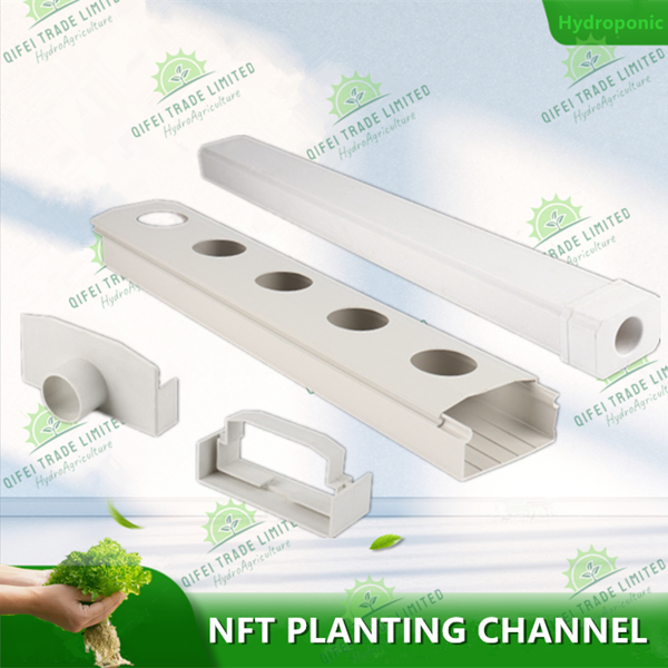 Vegetable NFT Hydroponic system for greenhouse