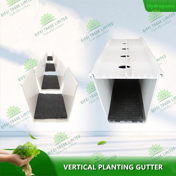 Hydroponic strawberry cultivation system with drainage board