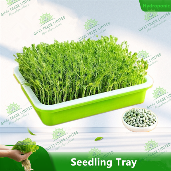 Hydroponic seedling tray Bean sprout germination tray pea sprout seedling trays