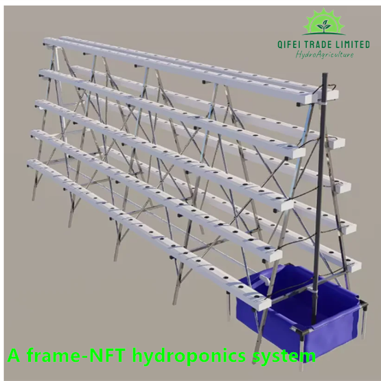A frame-NFT hydroponics system