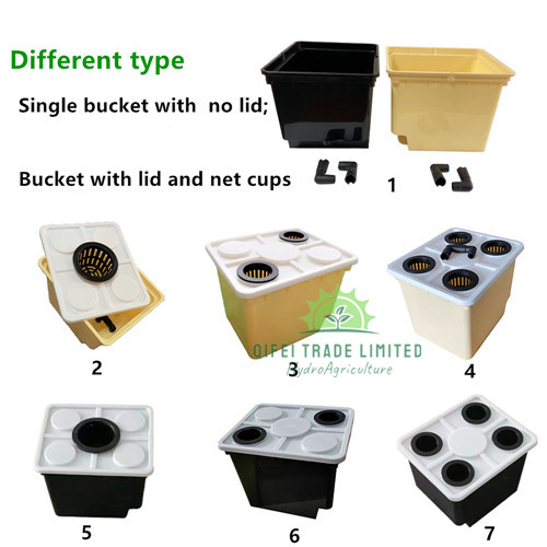 Dutch bucket hydroponic system (4).jpg