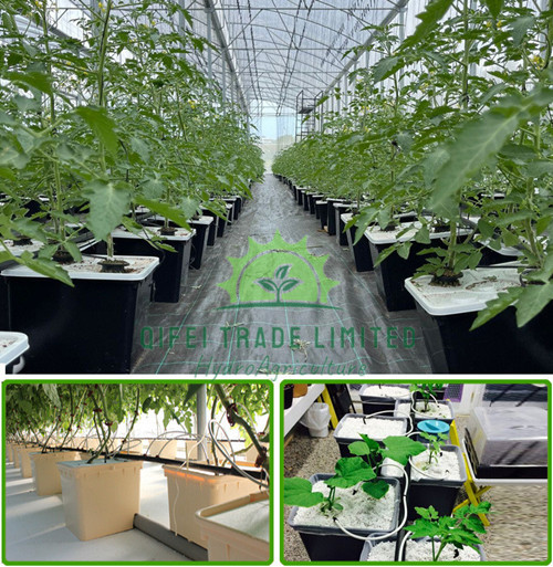 Dutch bucket hydroponic system (6).jpg