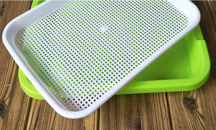 1762695856844647.png seedling tray (4).png