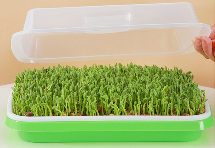1762696021602722.png seedling tray (7).png