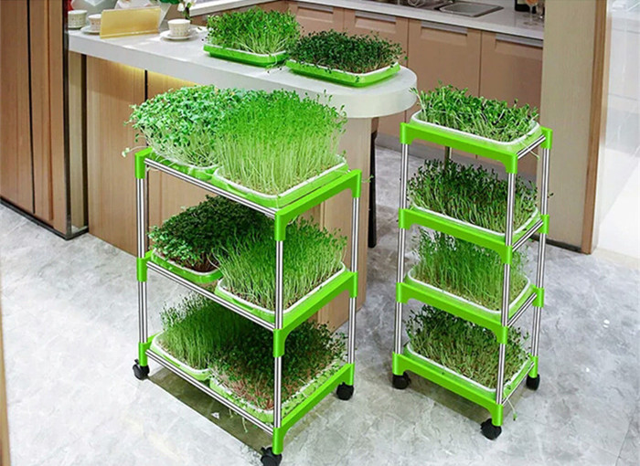 seedling tray (2).jpg